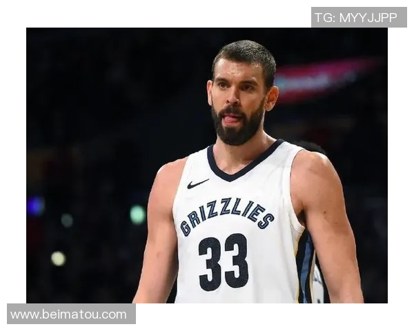 黑白双熊对决水花兄弟篮球盛宴谁能赢得最终荣耀