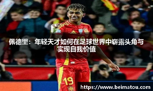 6163银河net163