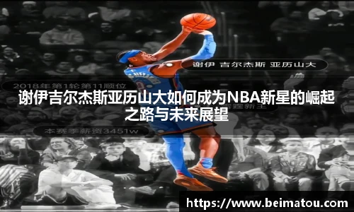 6163银河net163